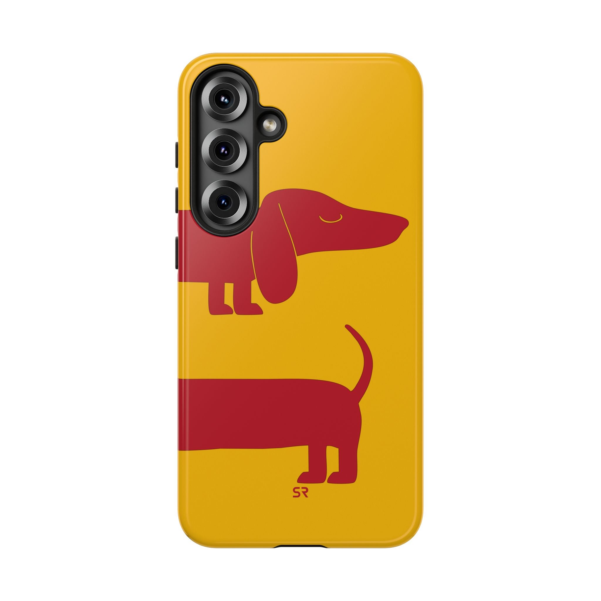 Dachshund