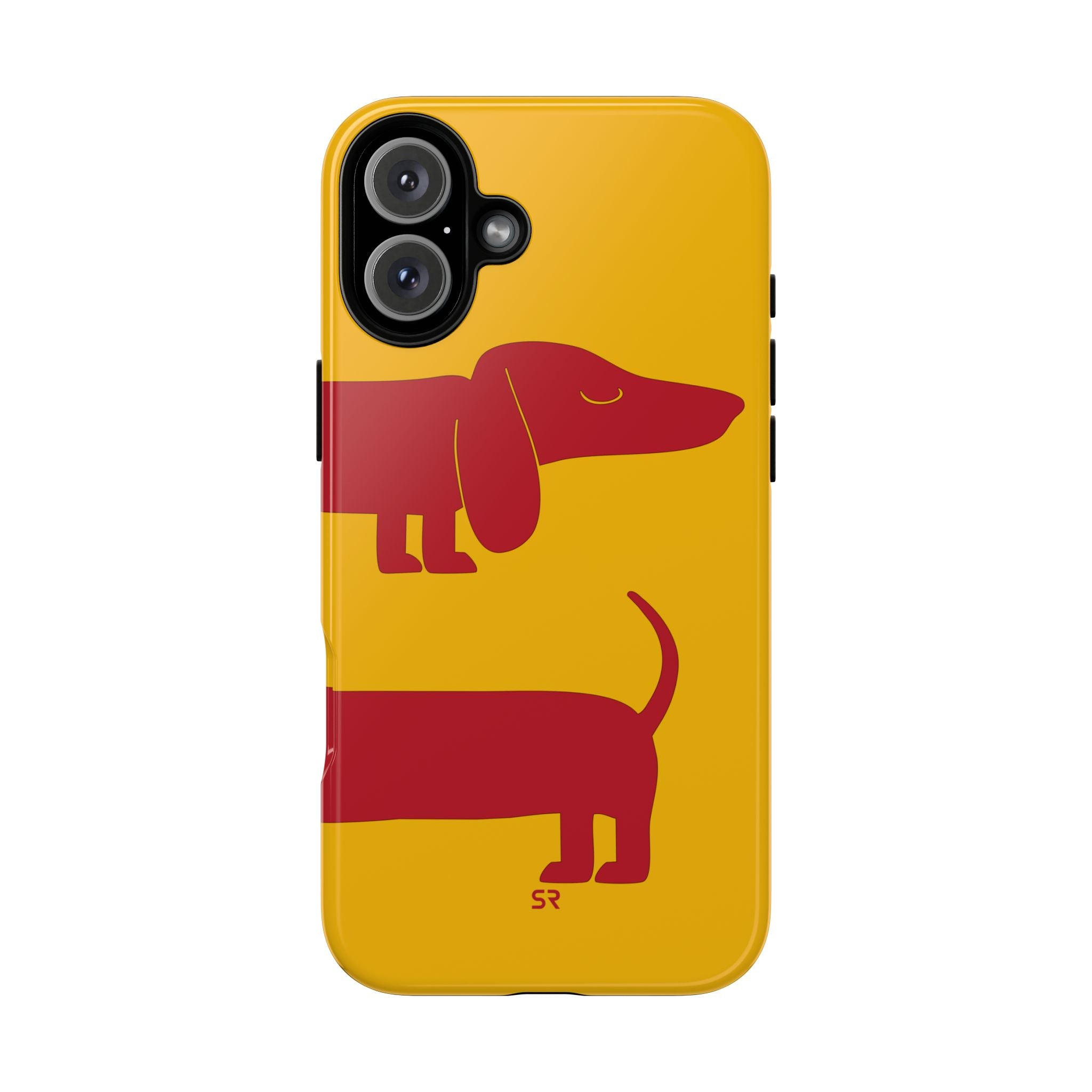 Dachshund