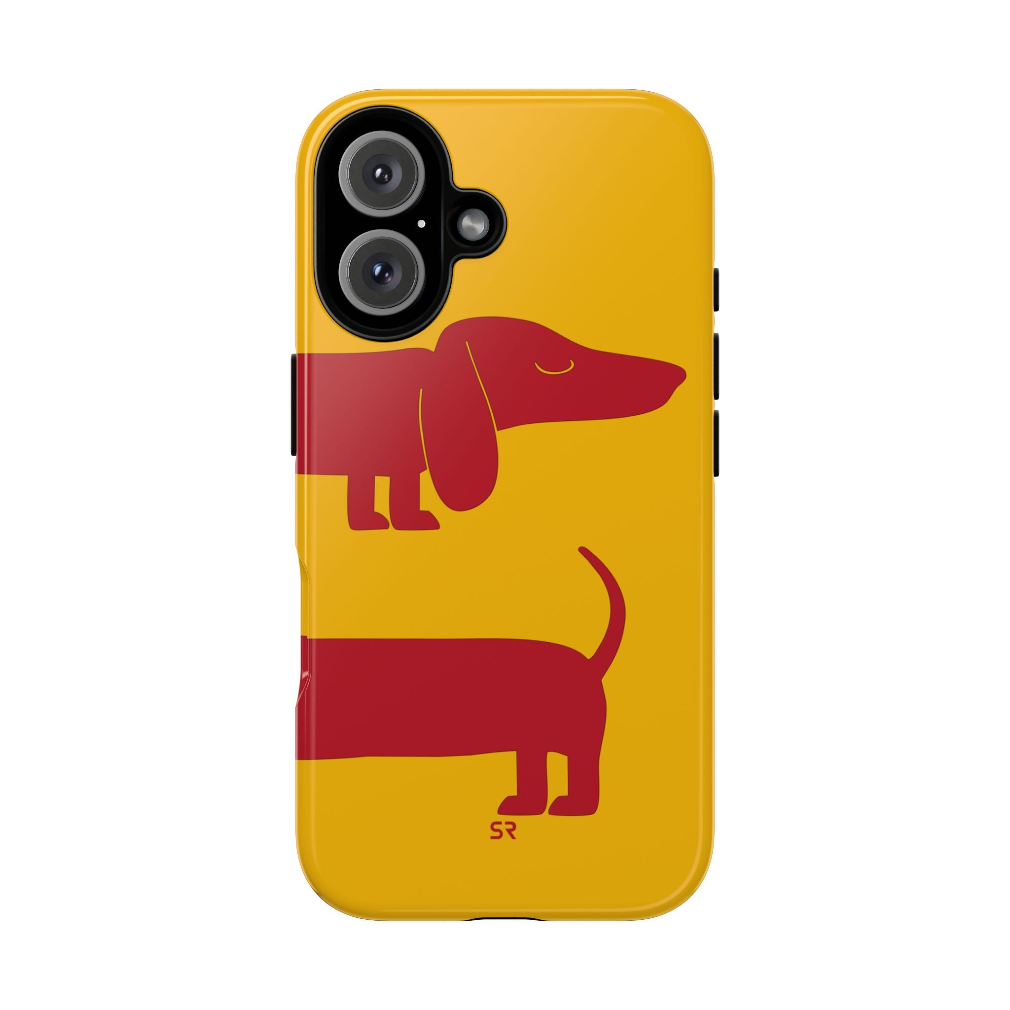 Dachshund