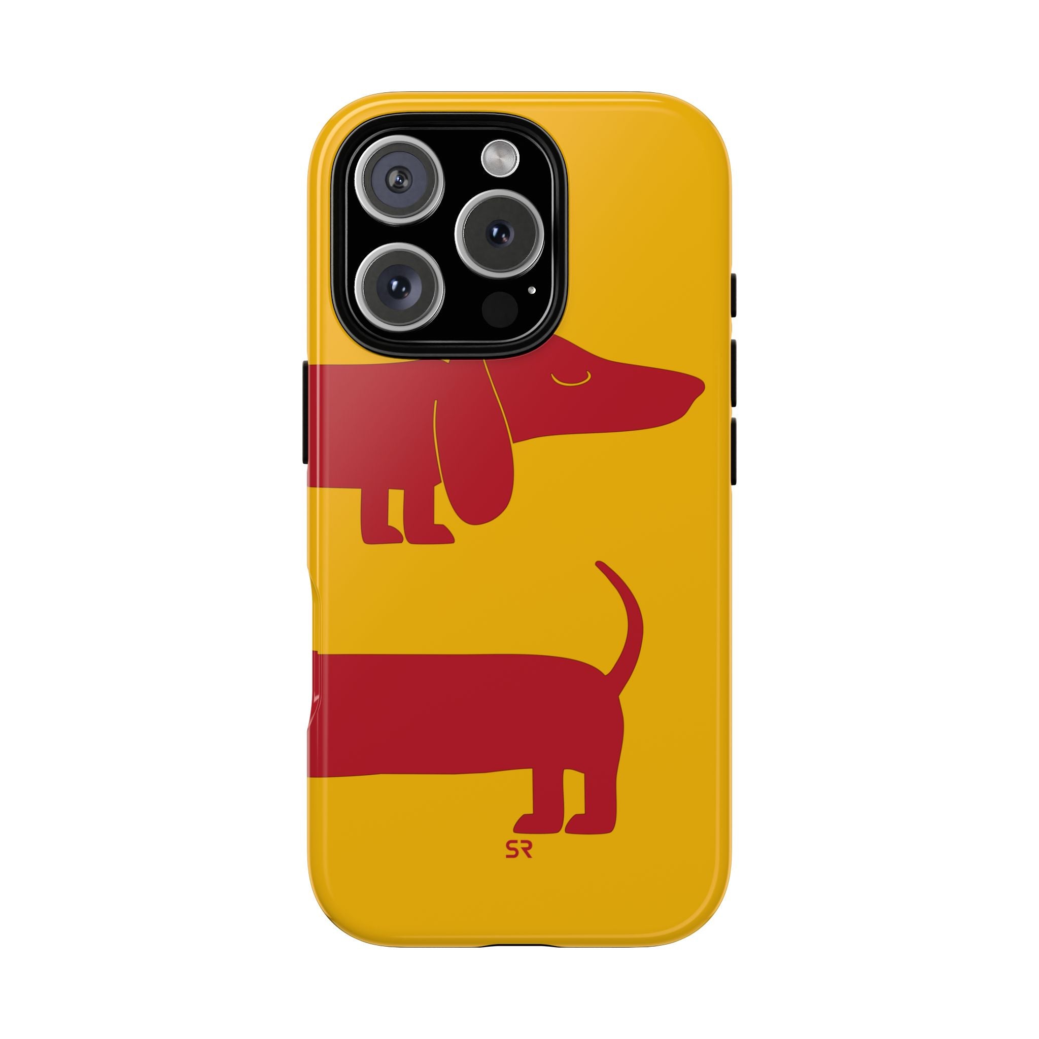 Dachshund