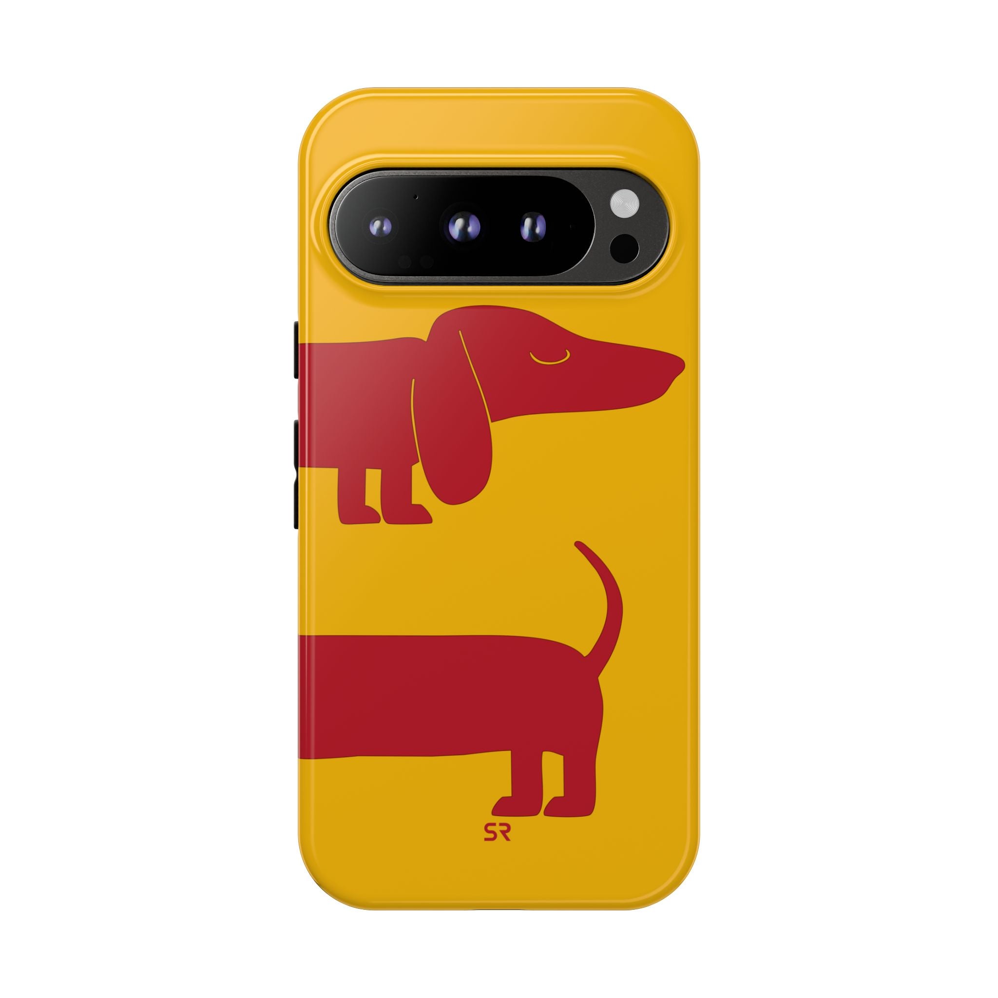 Dachshund
