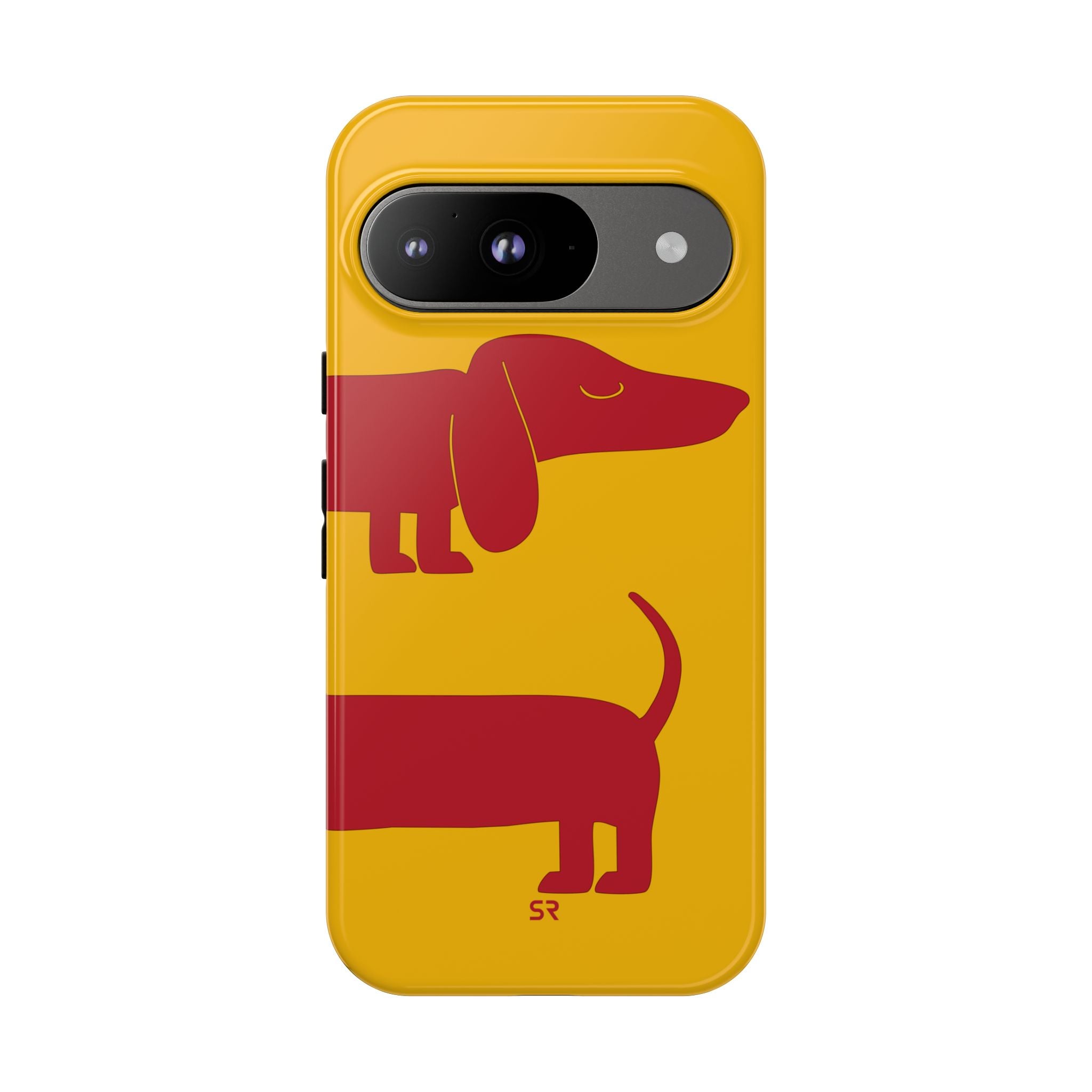 Dachshund