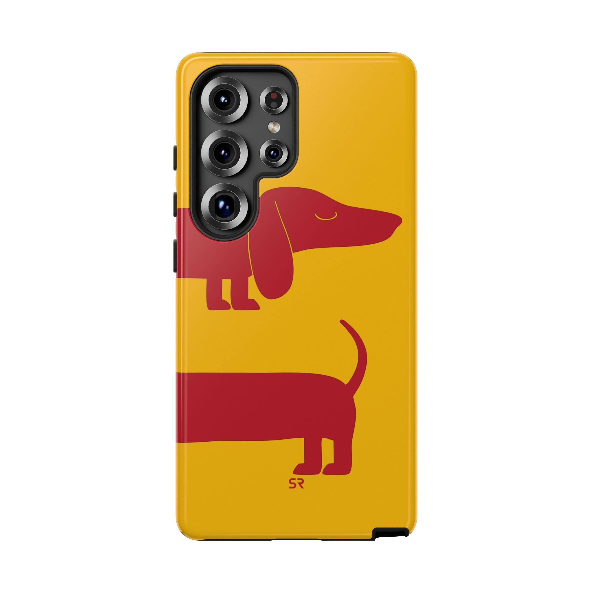 Dachshund