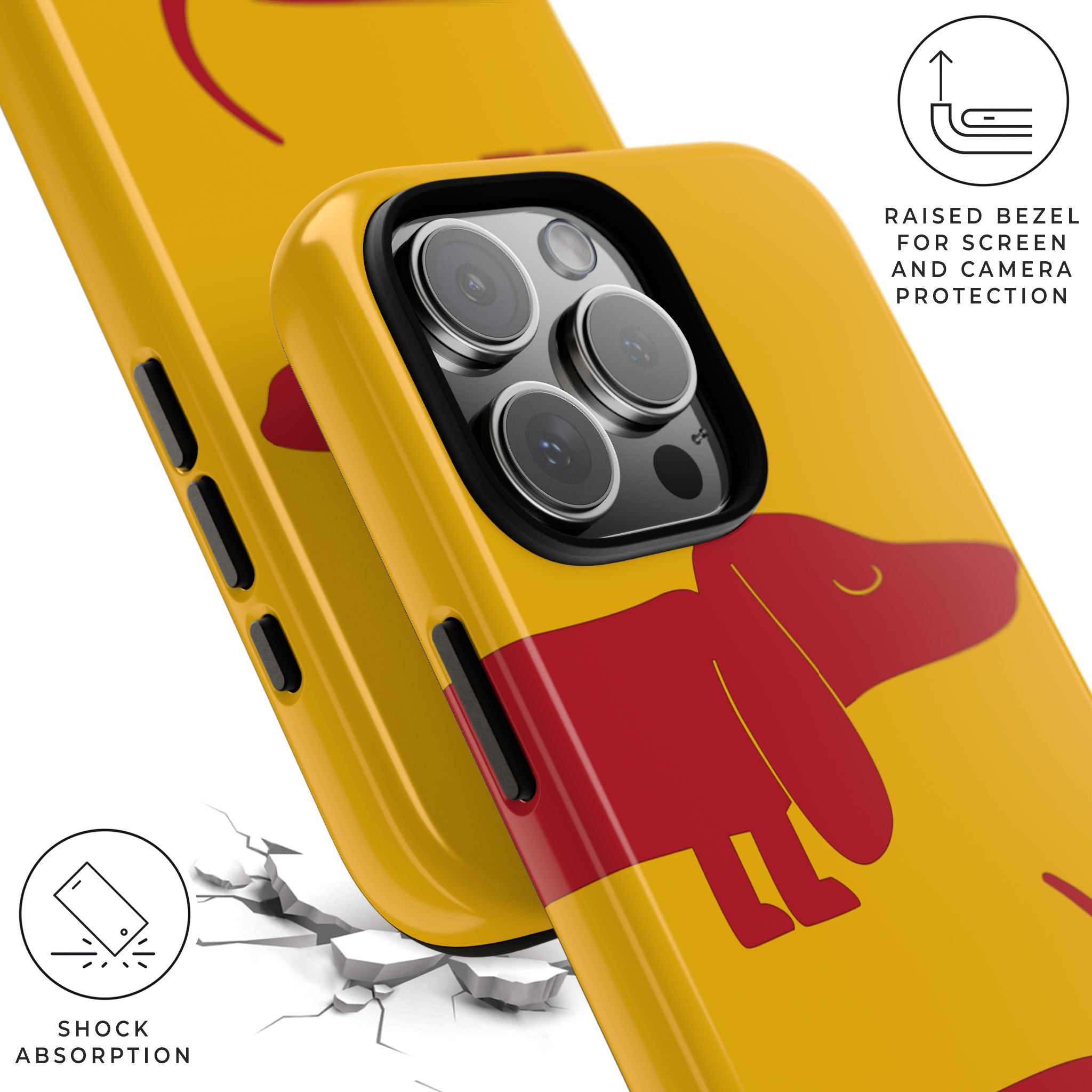 Dachshund