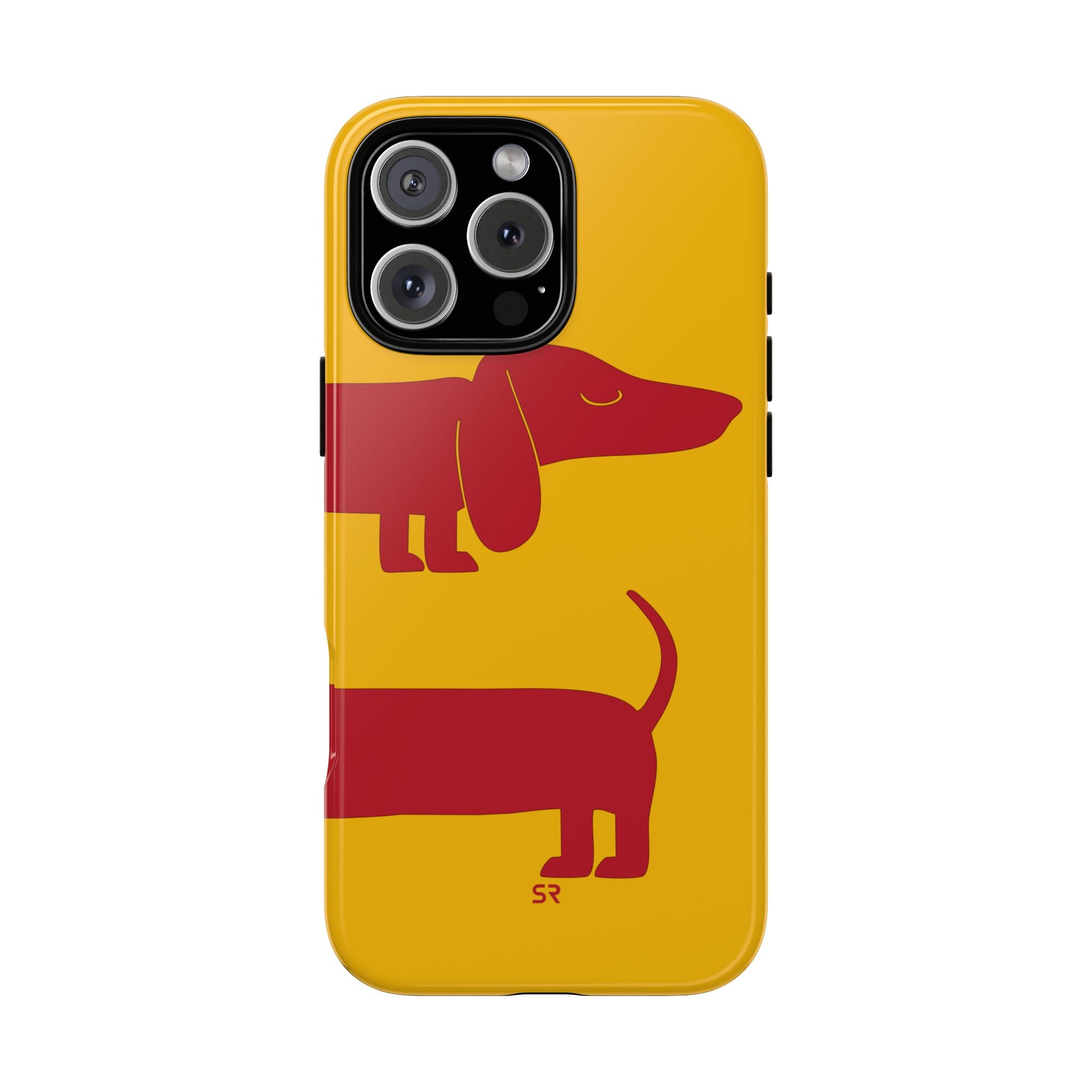 Dachshund
