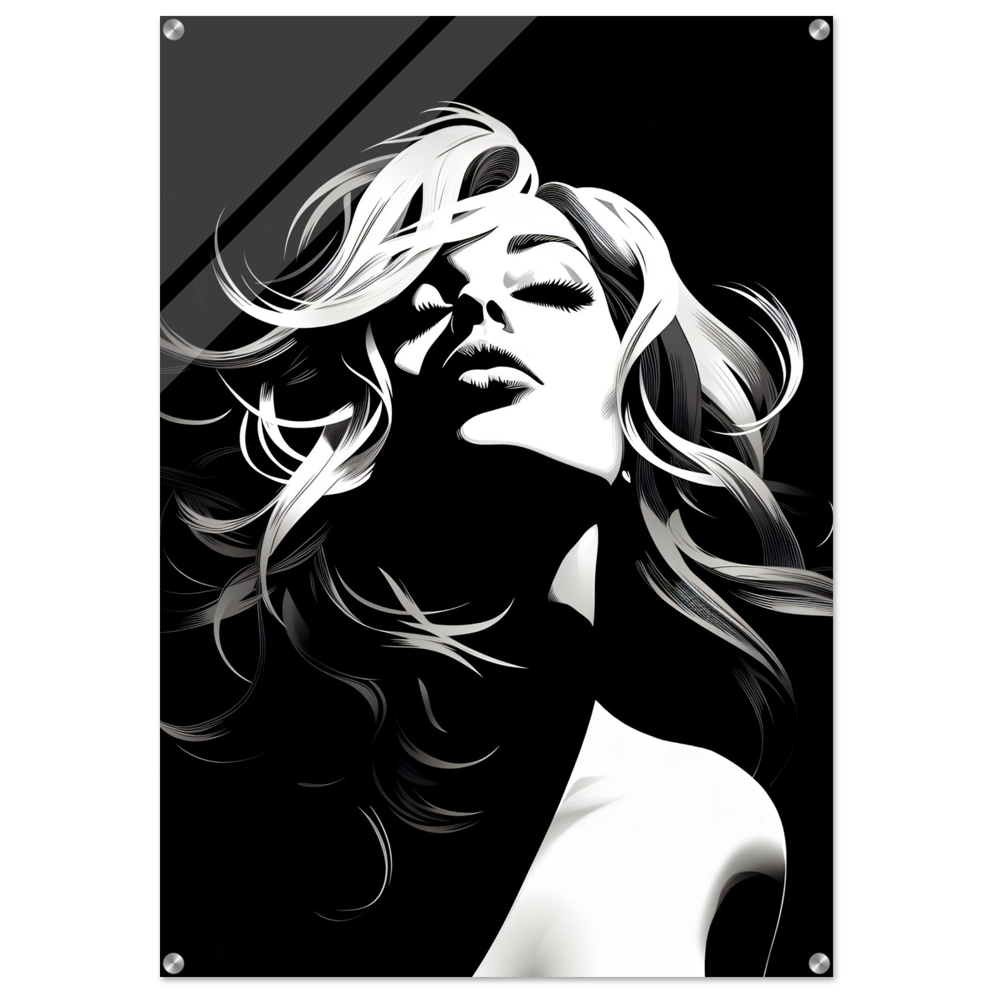 acrylic wall art